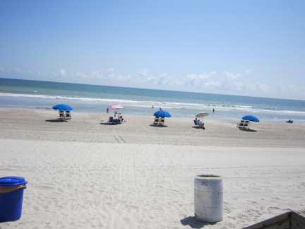 IMG 4806